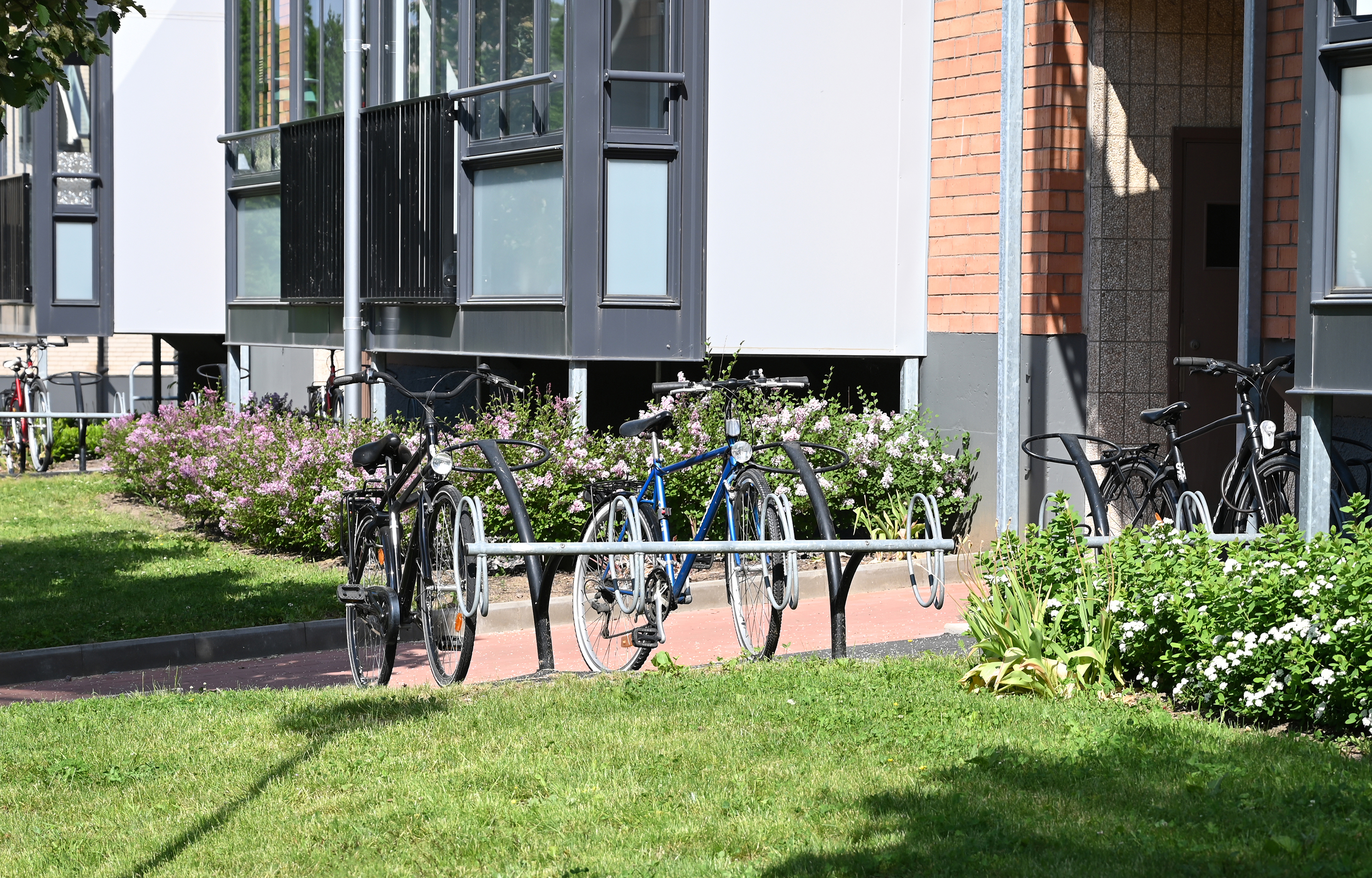 Bicycle Rack Ellipse